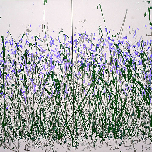 Iris