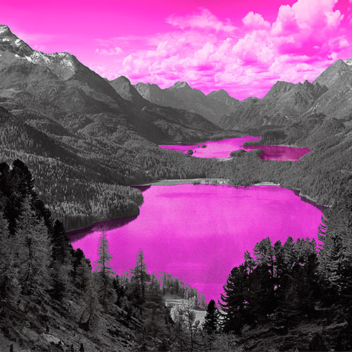 Muottas - Fuxia